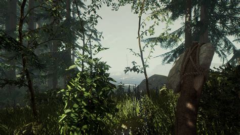 The Forest » Cracked Download .
